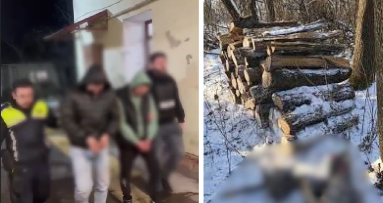 Tăieri ilegale de arbori la Săcele: prejudiciul plătit